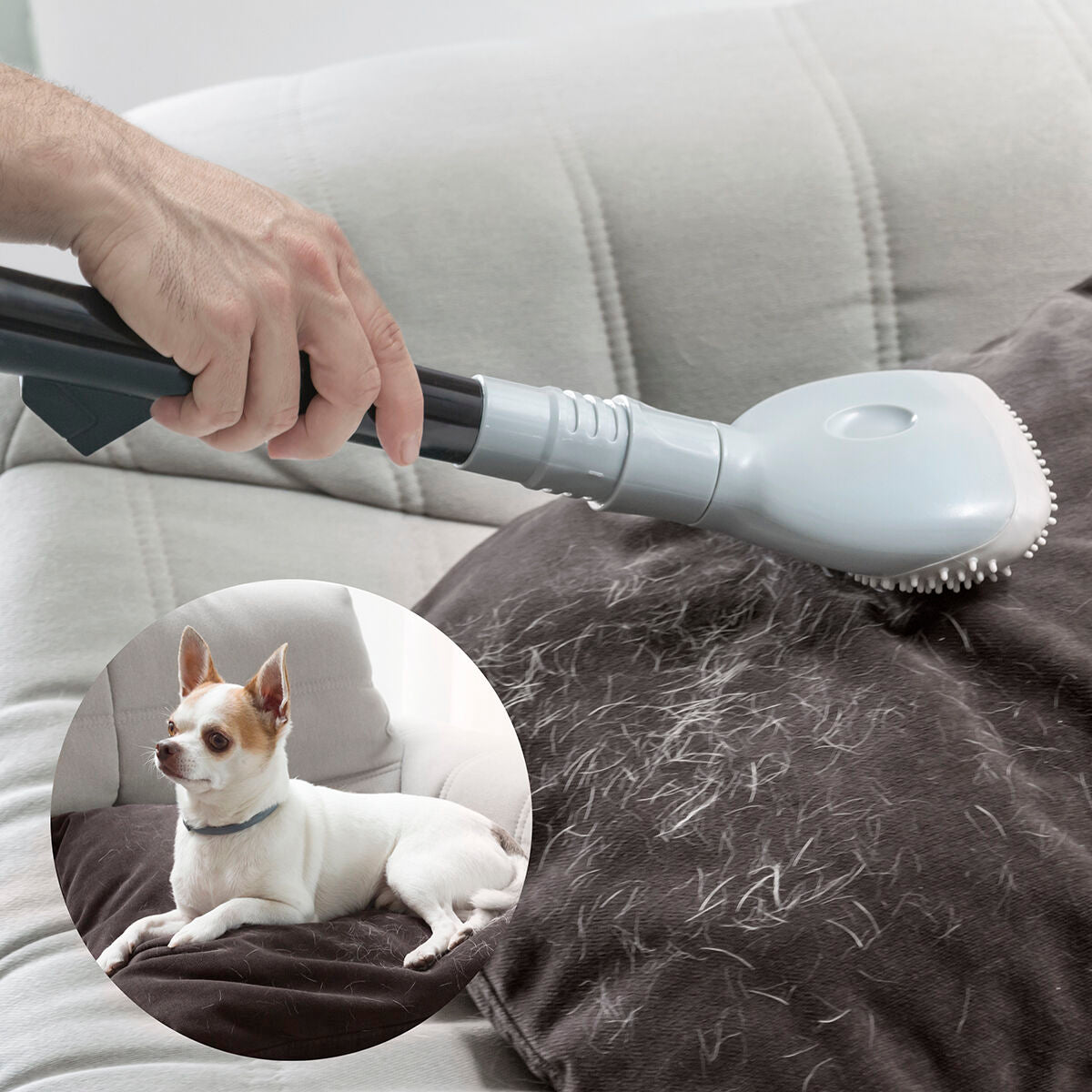 Huisdierhaarborstel voor Stofzuiger | Verwijdert Honden- en Kattenharen Razendsnel