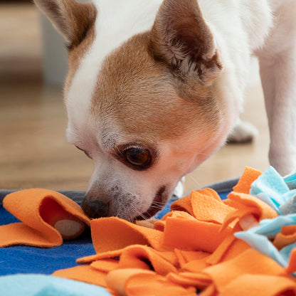 Snuffelmat voor Huisdieren – Interactieve Voermat voor Mentale Stimulatie en Speelplezier